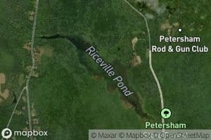 Riceville Pond