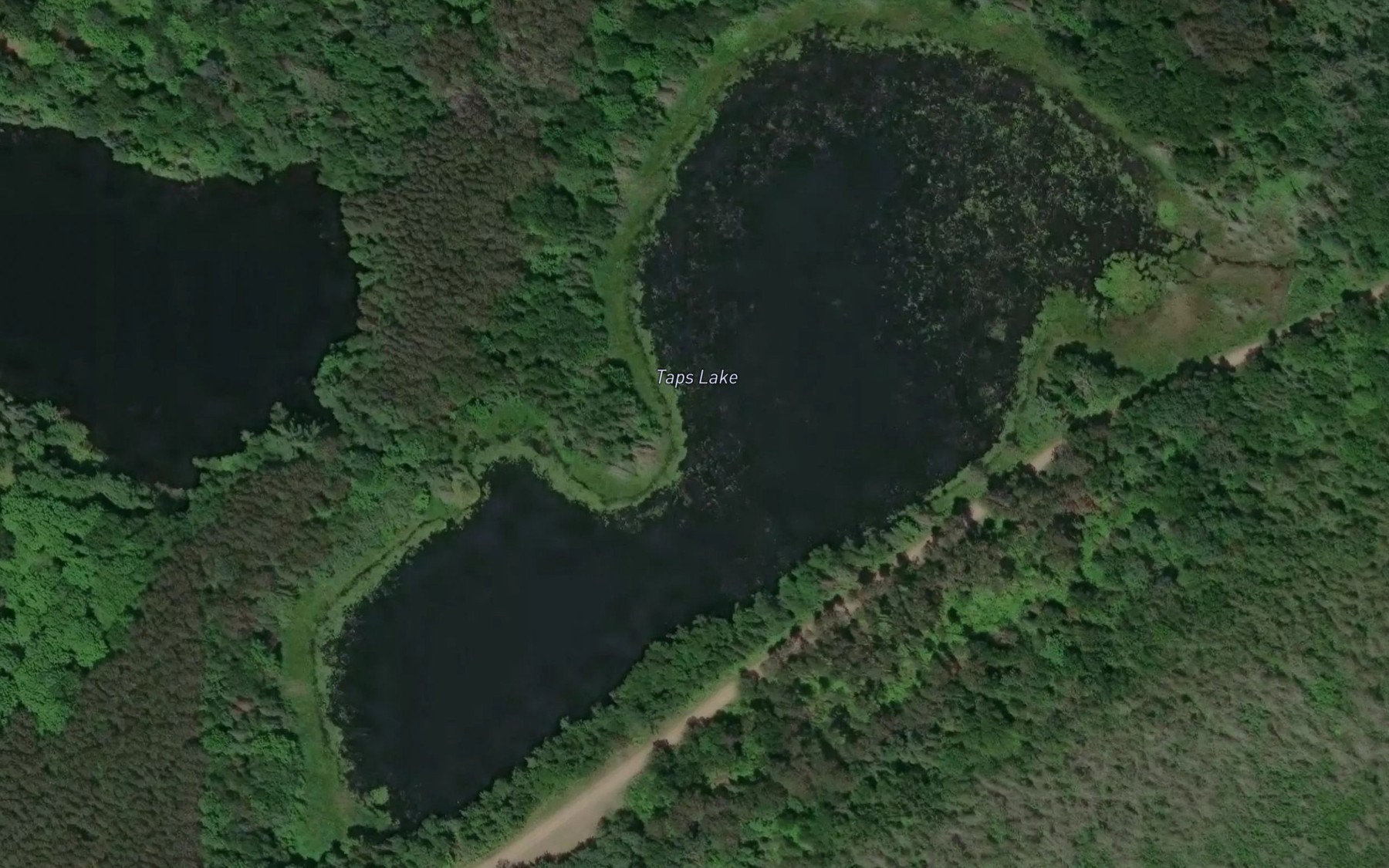 Satellite map of the Taps Lake
