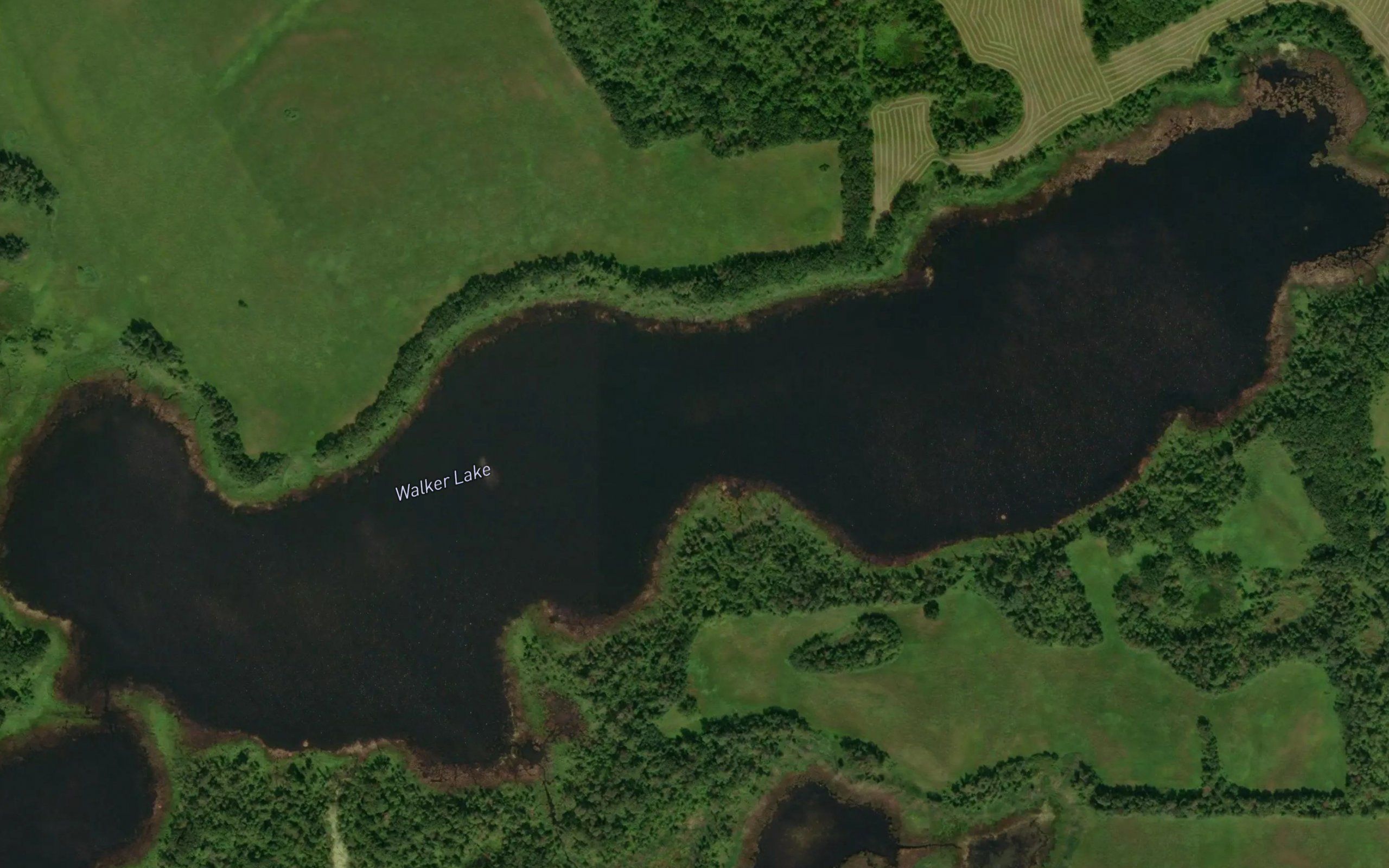 Walker Lake