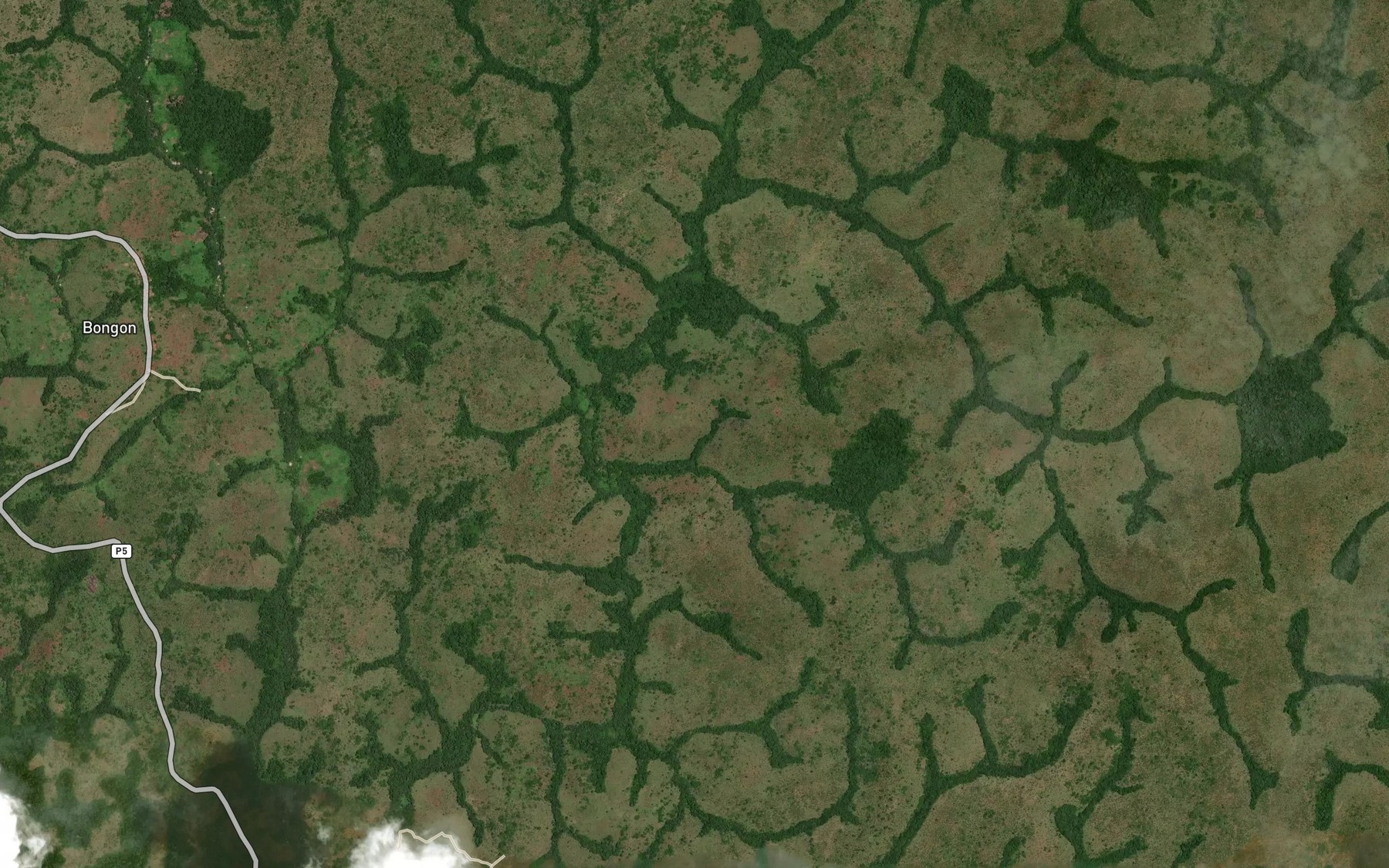 Satellite map of the Lidongui