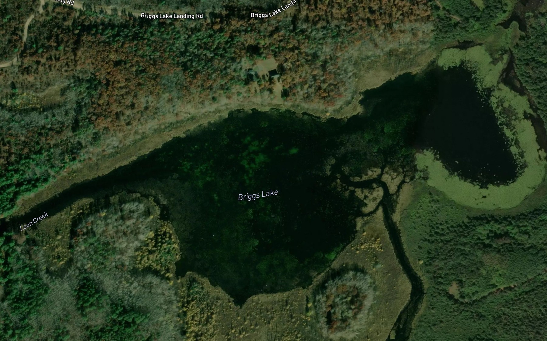 Satellite map of the Briggs Lake