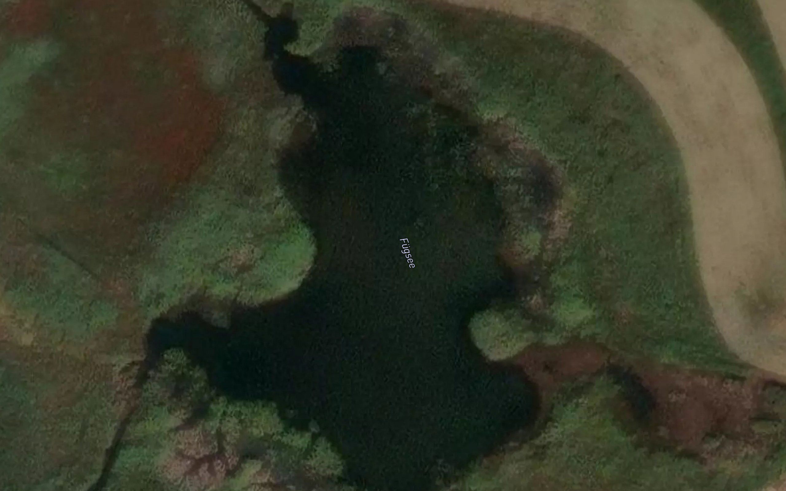 Fugsee