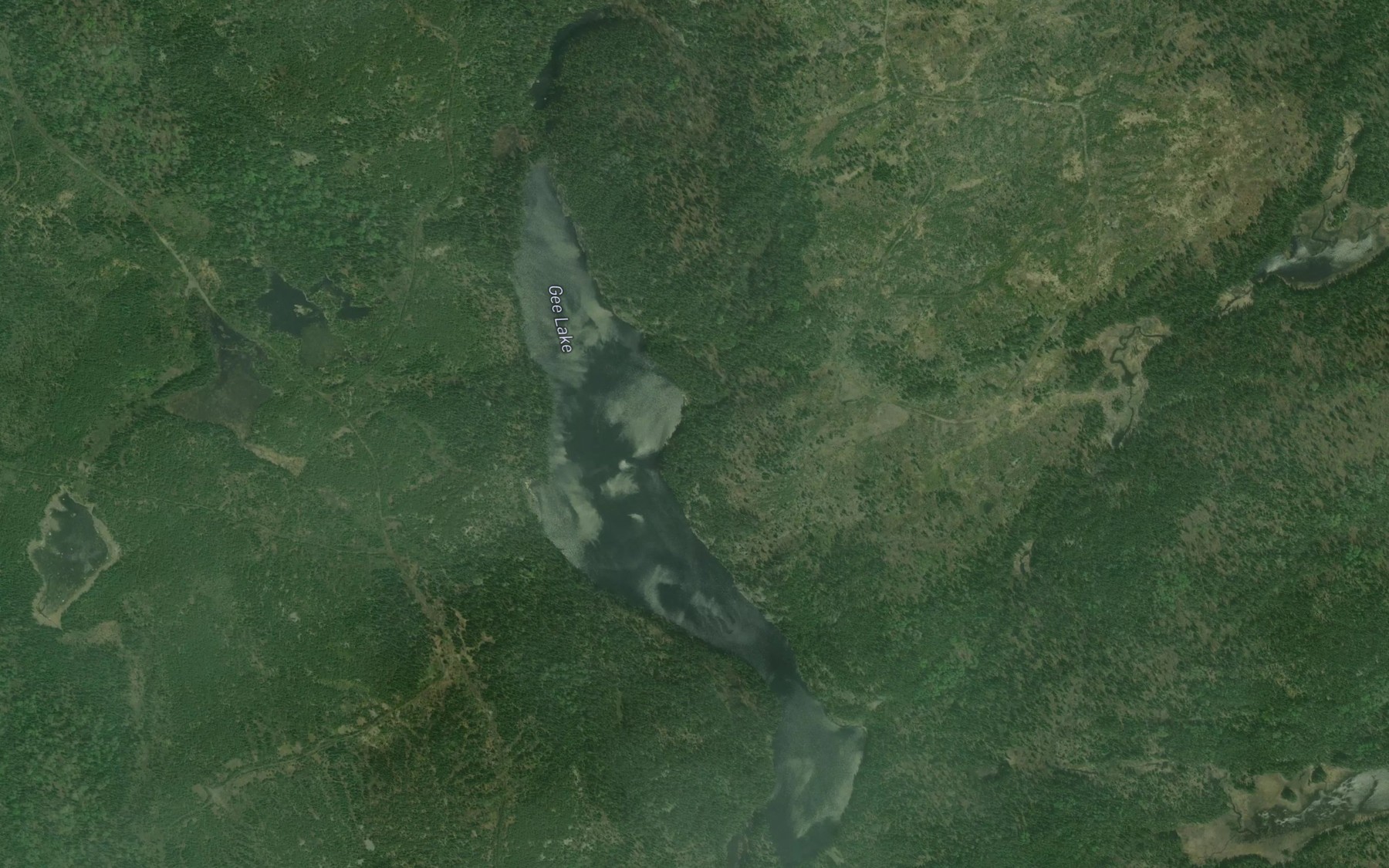 Satellite map of the Gee Lake