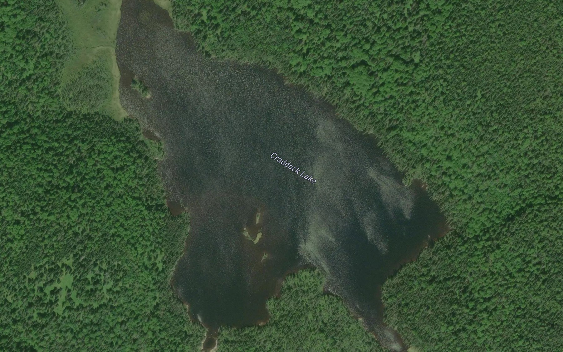 Satellite map of the Craddock Lake
