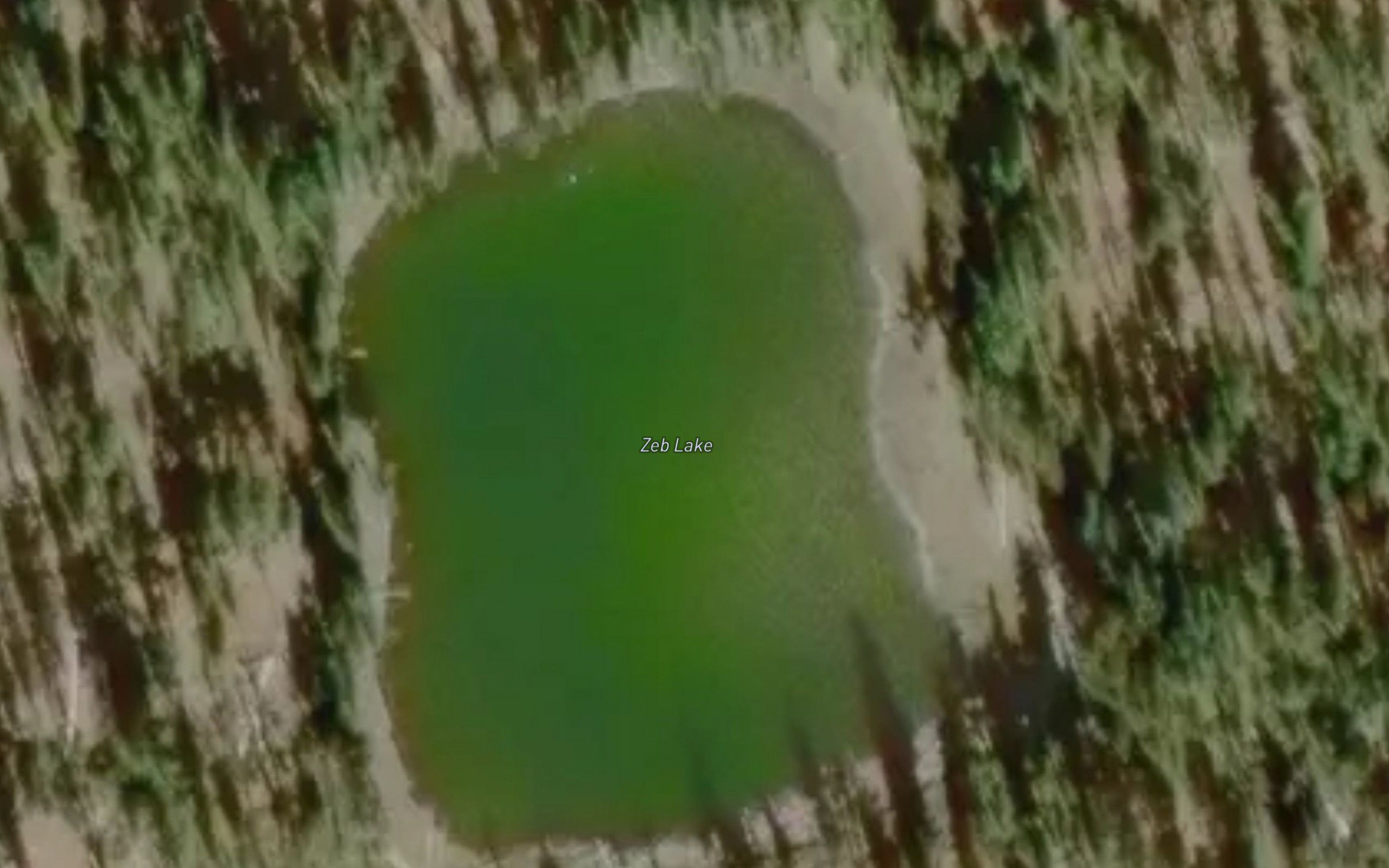 Zeb Lake