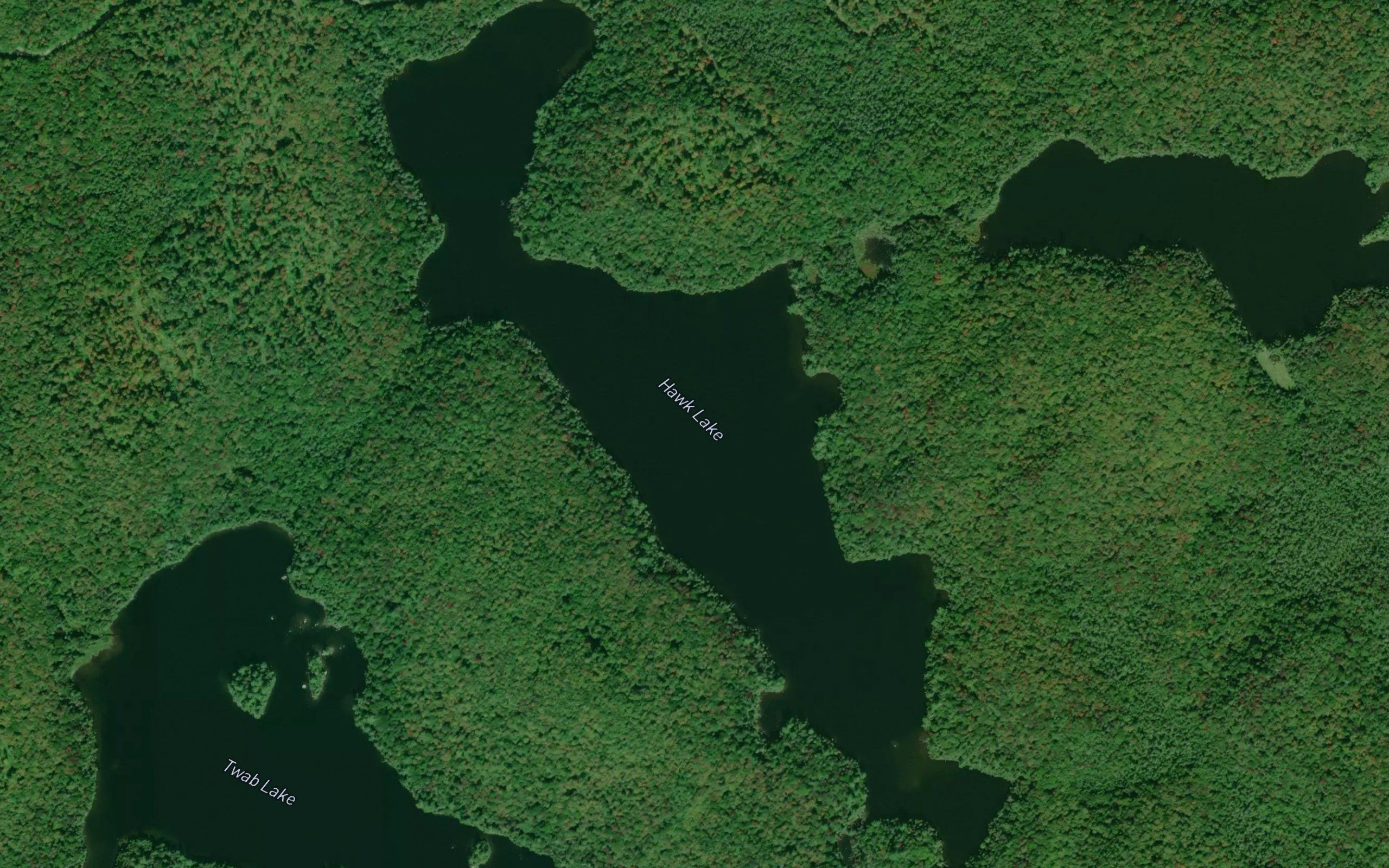 Hawk Lake