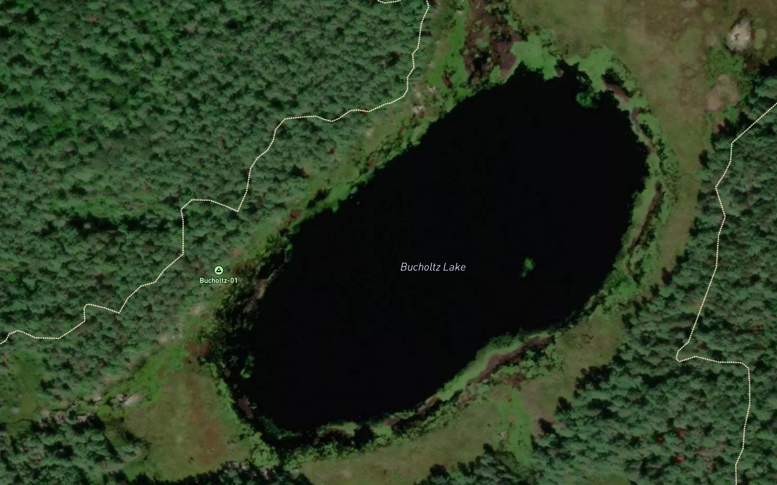Bucholtz Lake