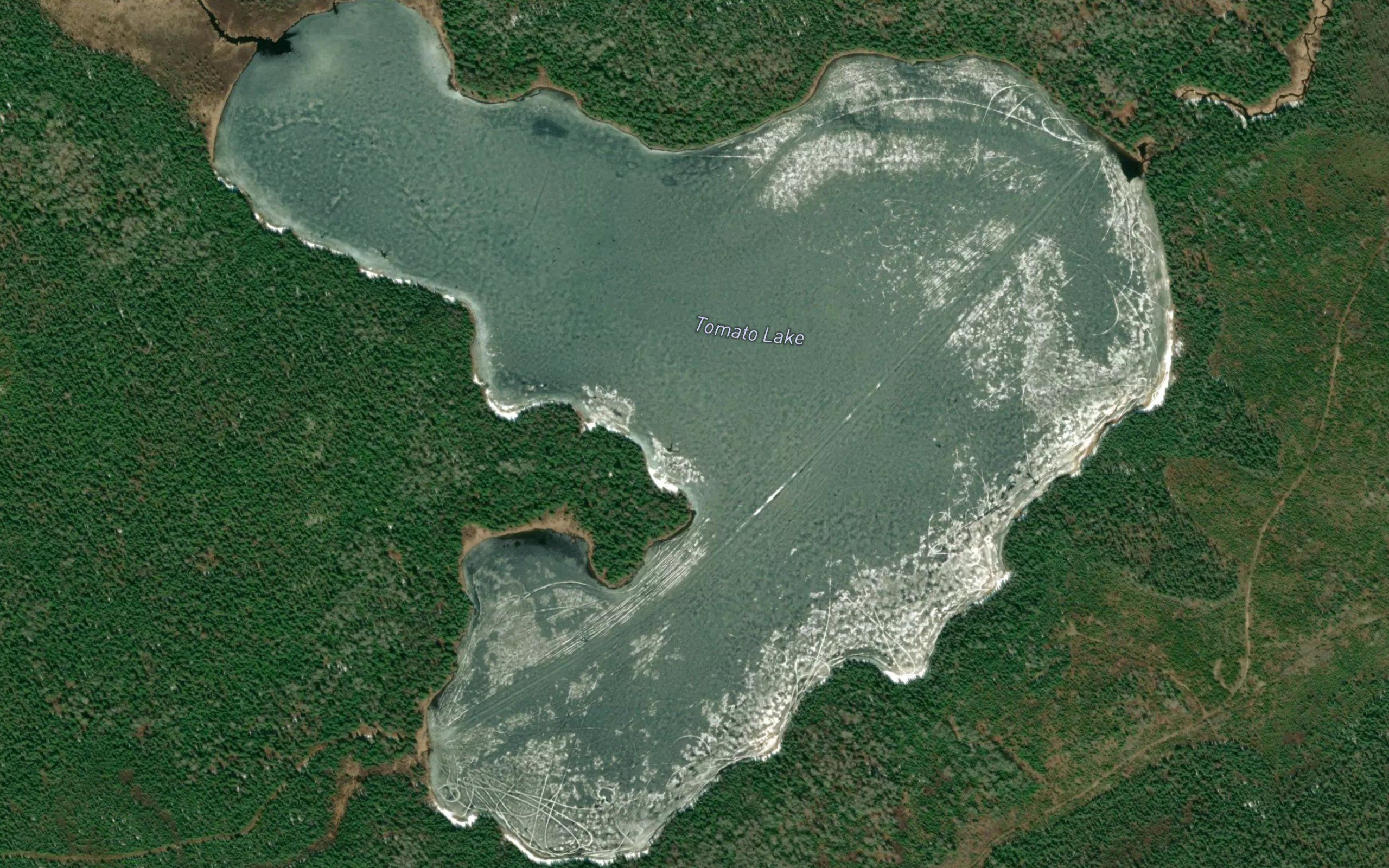 Tomato Lake