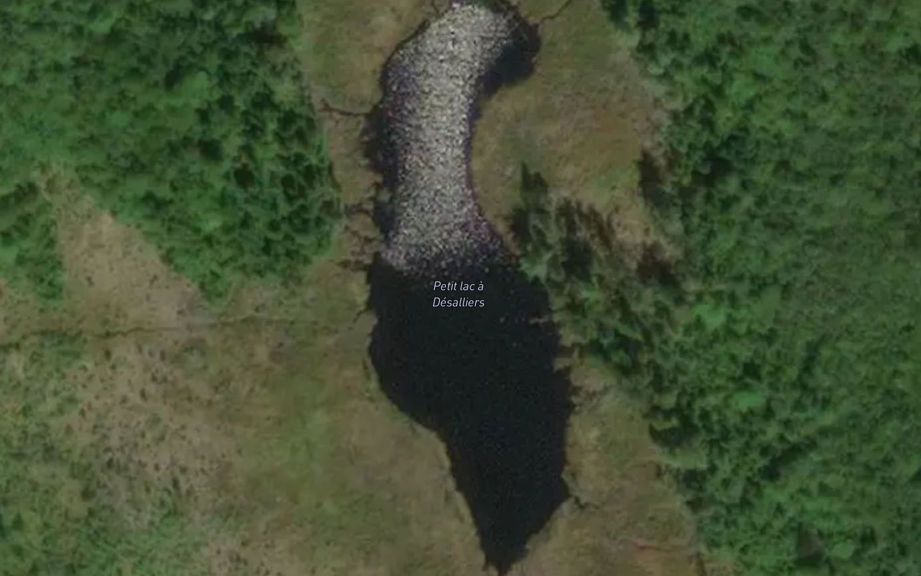 Satellite map of the Petit lac a Desalliers