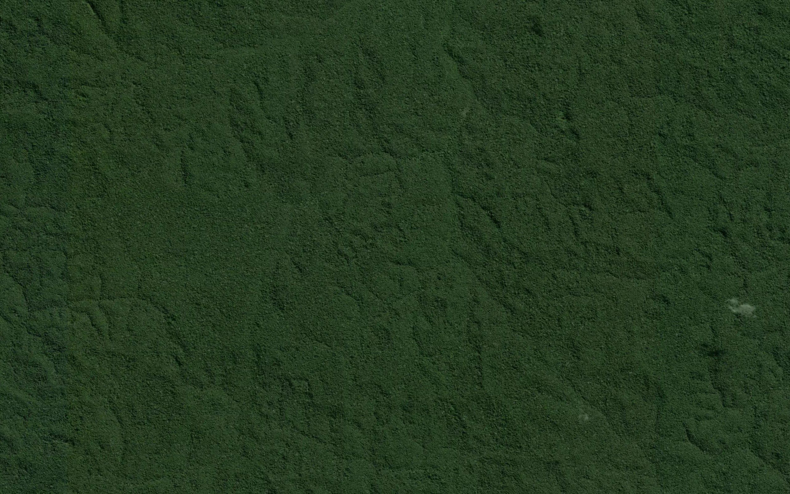 Igarape Pitinga