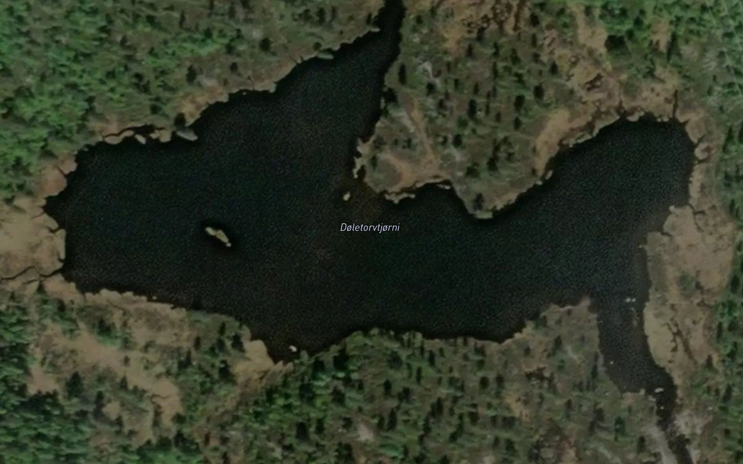 Doletorvtjorni