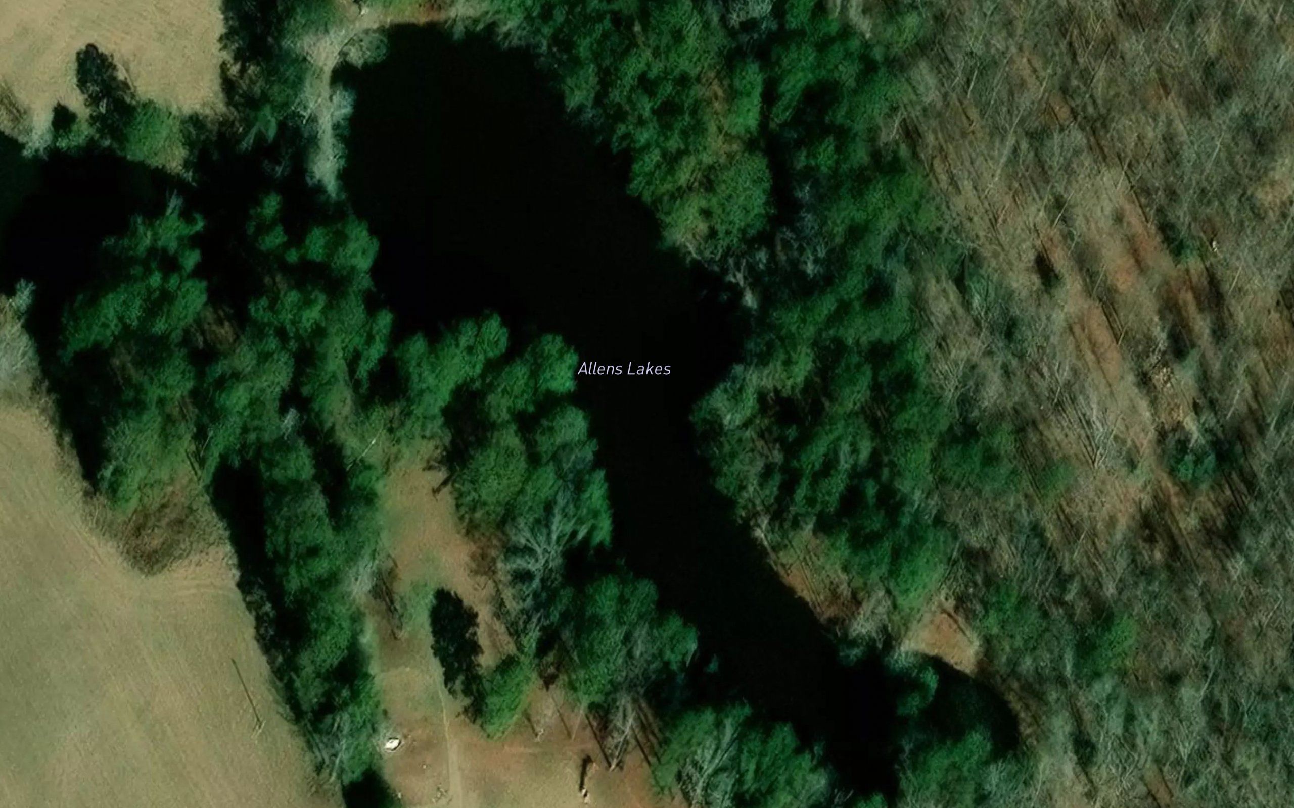 Allens Lakes