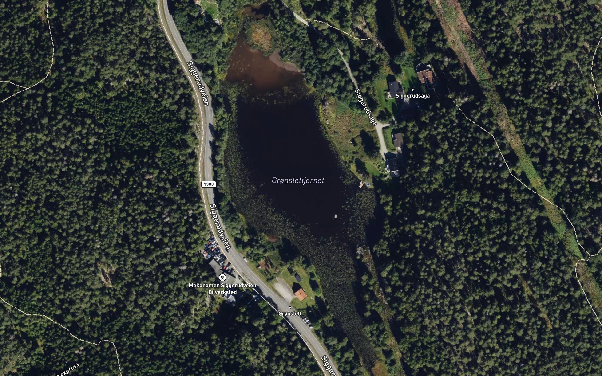 Gronslettjernet