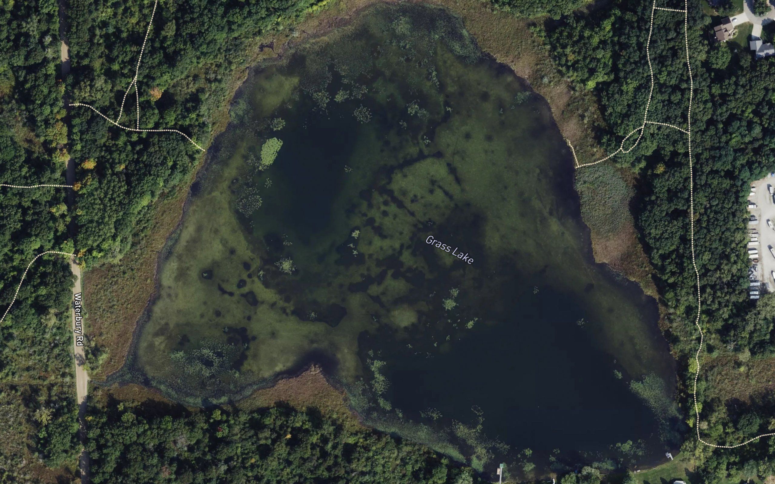 Grass Lake
