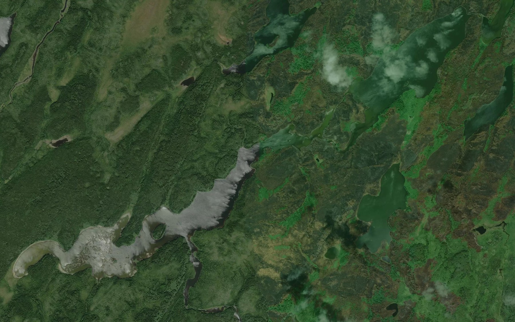 Satellite map of the Larocque Lake