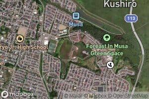 Senten Kojo Chindenchi