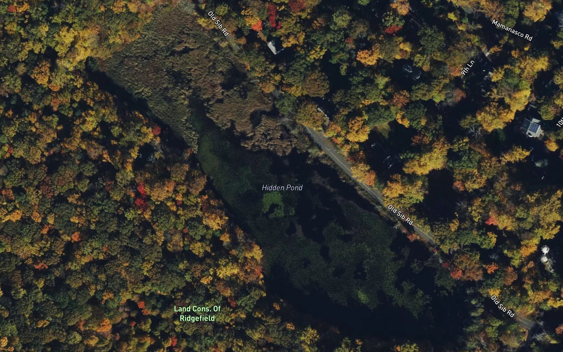 Satellite map of the Turtle Pond