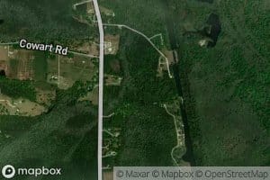 Little Brushy Branch