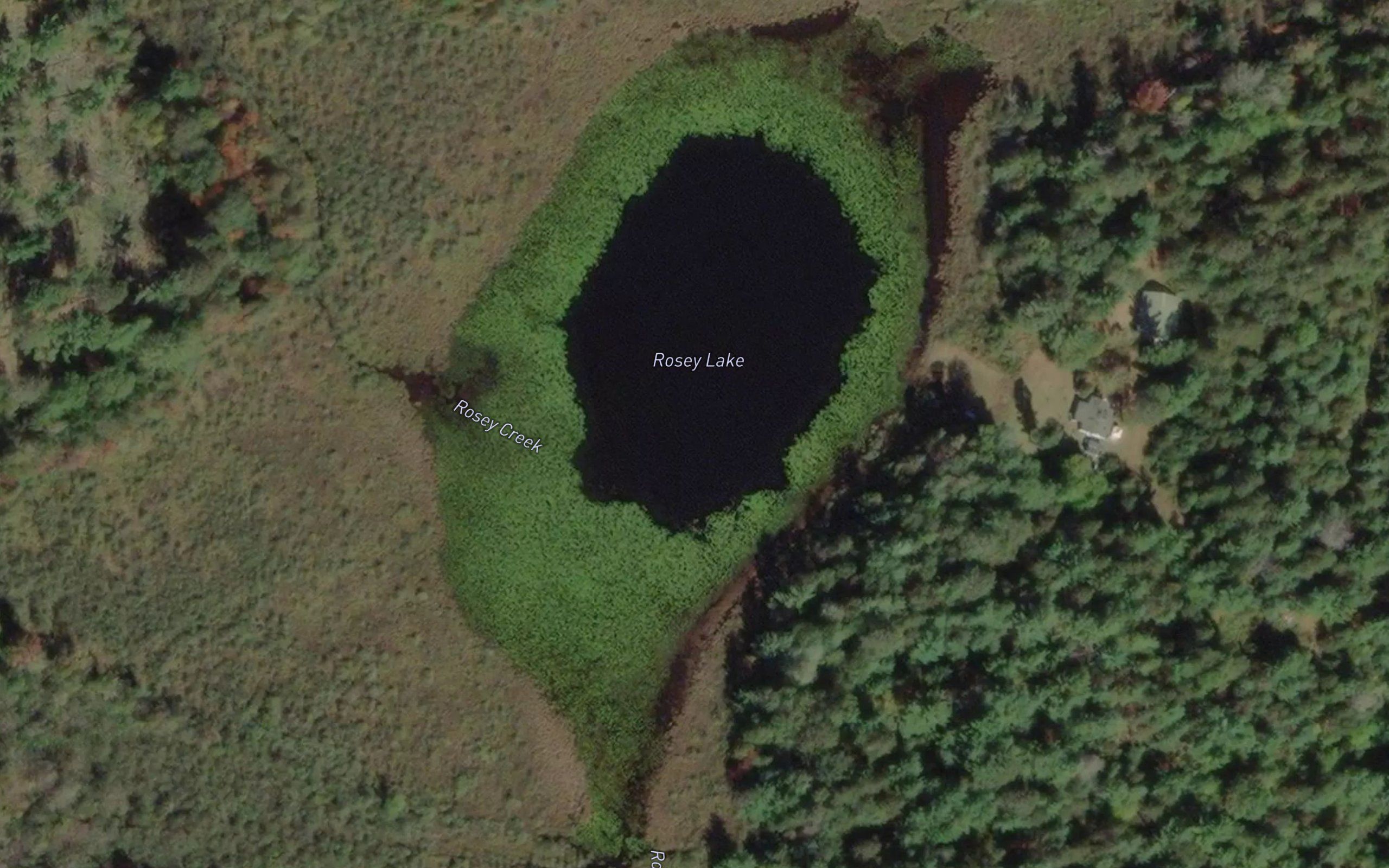 Rosey Lake