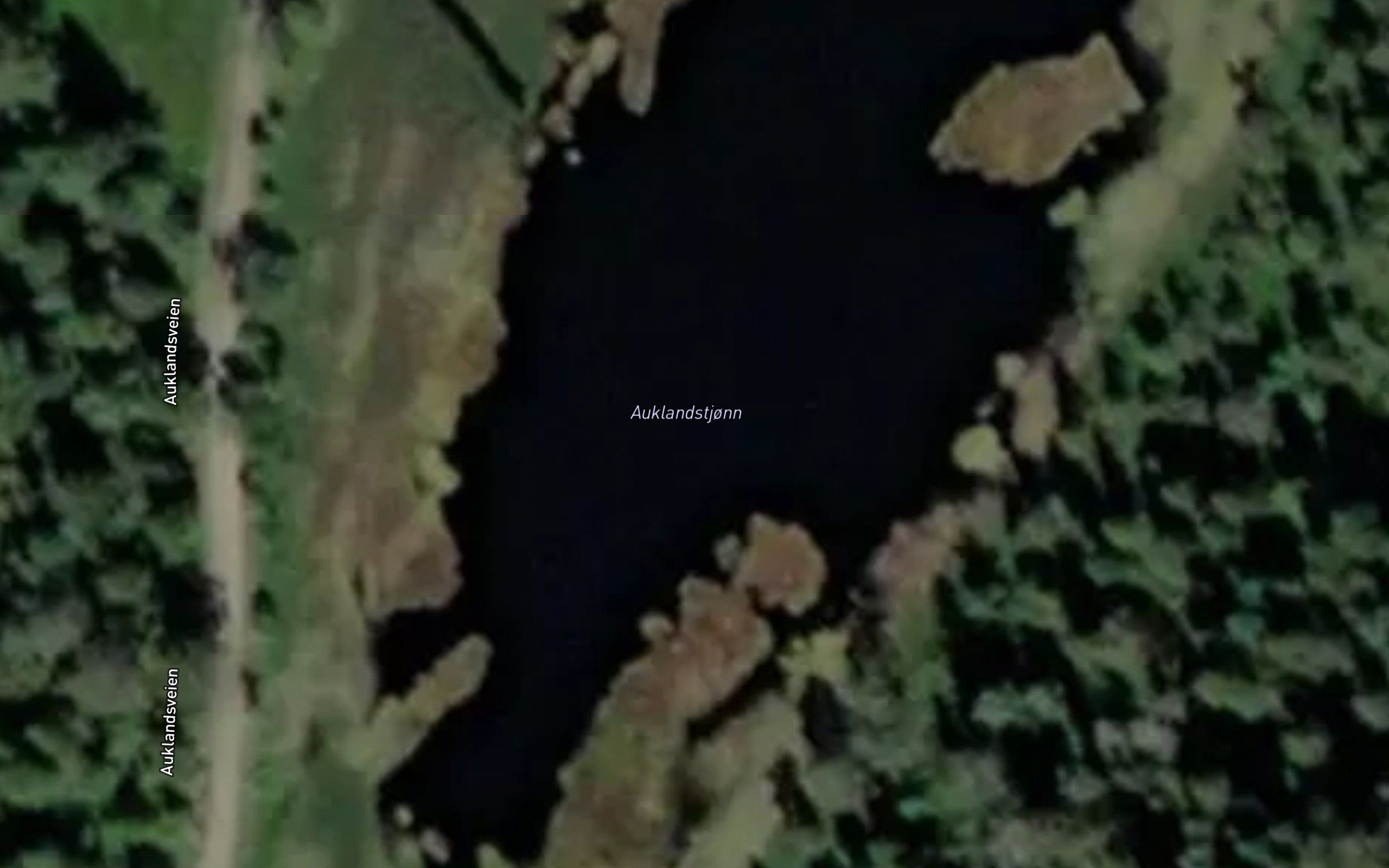 Auklandstjonn