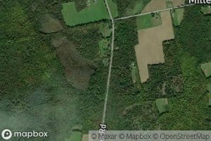 Hanson Brook