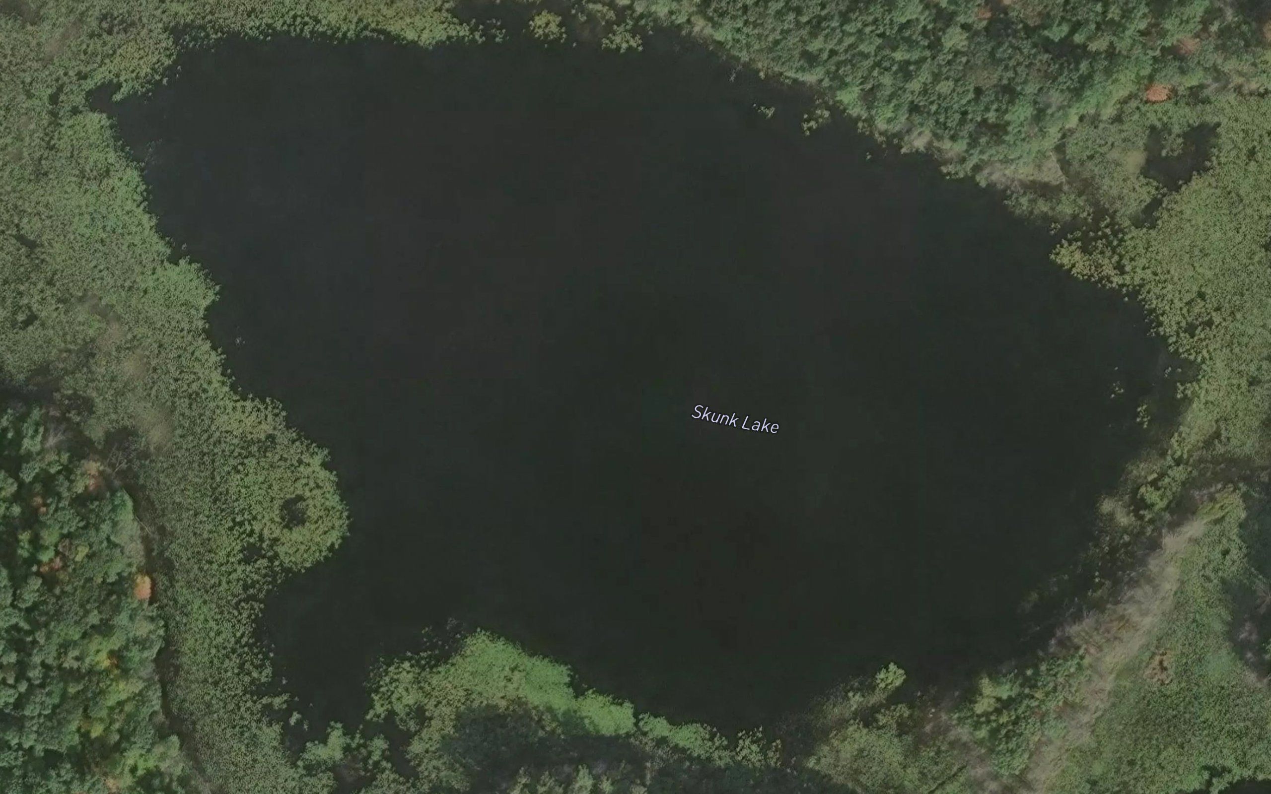Skunk Lake