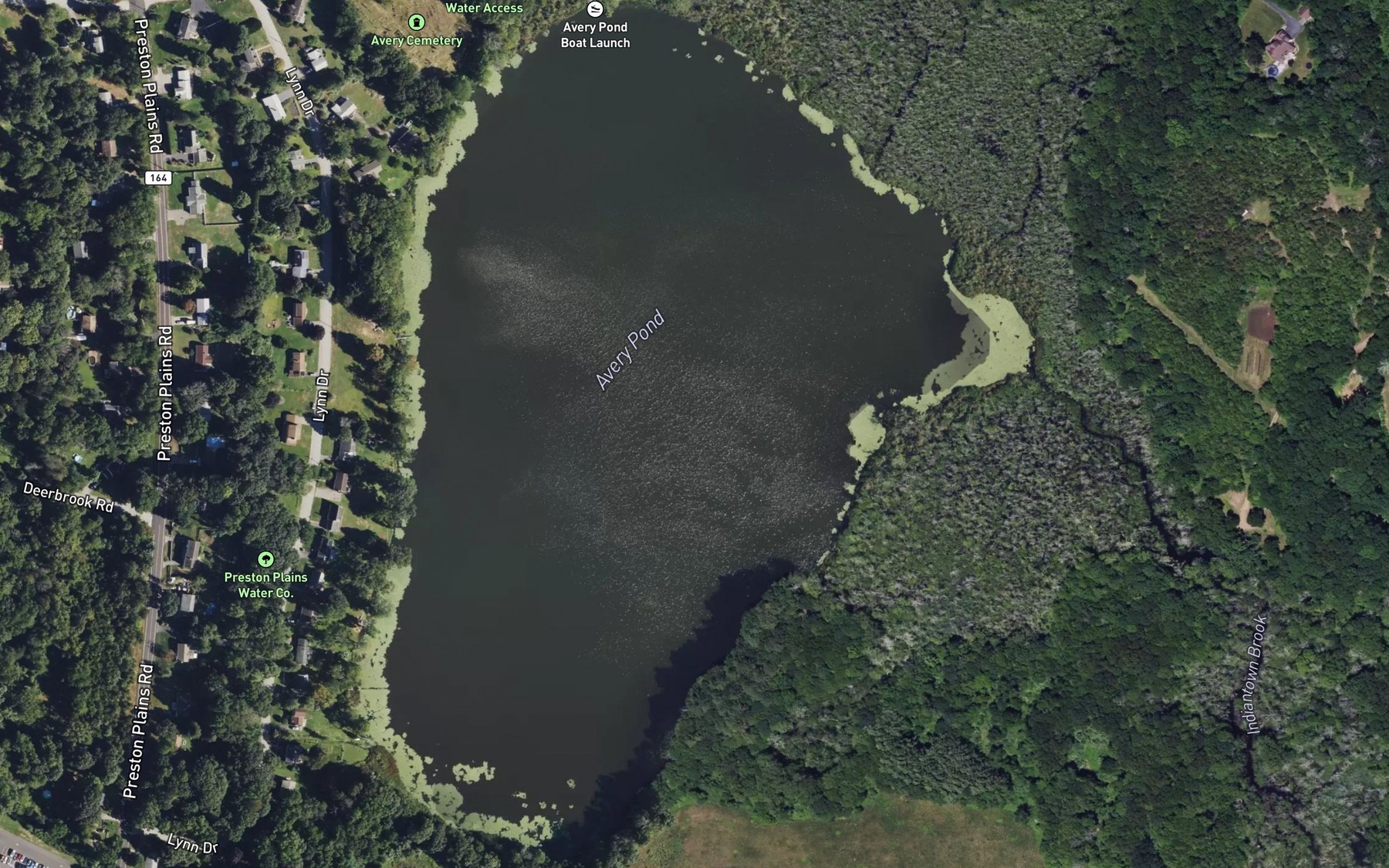 Satellite map of the Avery Pond