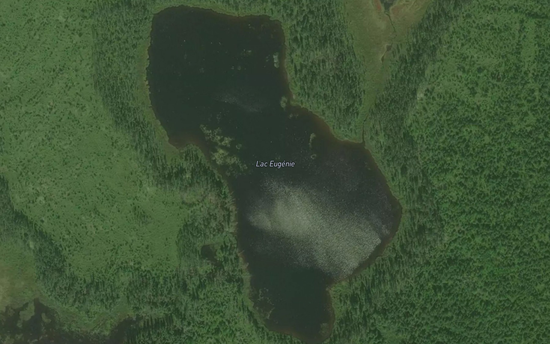 Satellite map of the Lac Eugenie