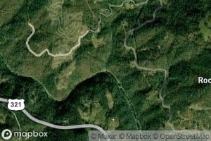 Stone Mountain Branch