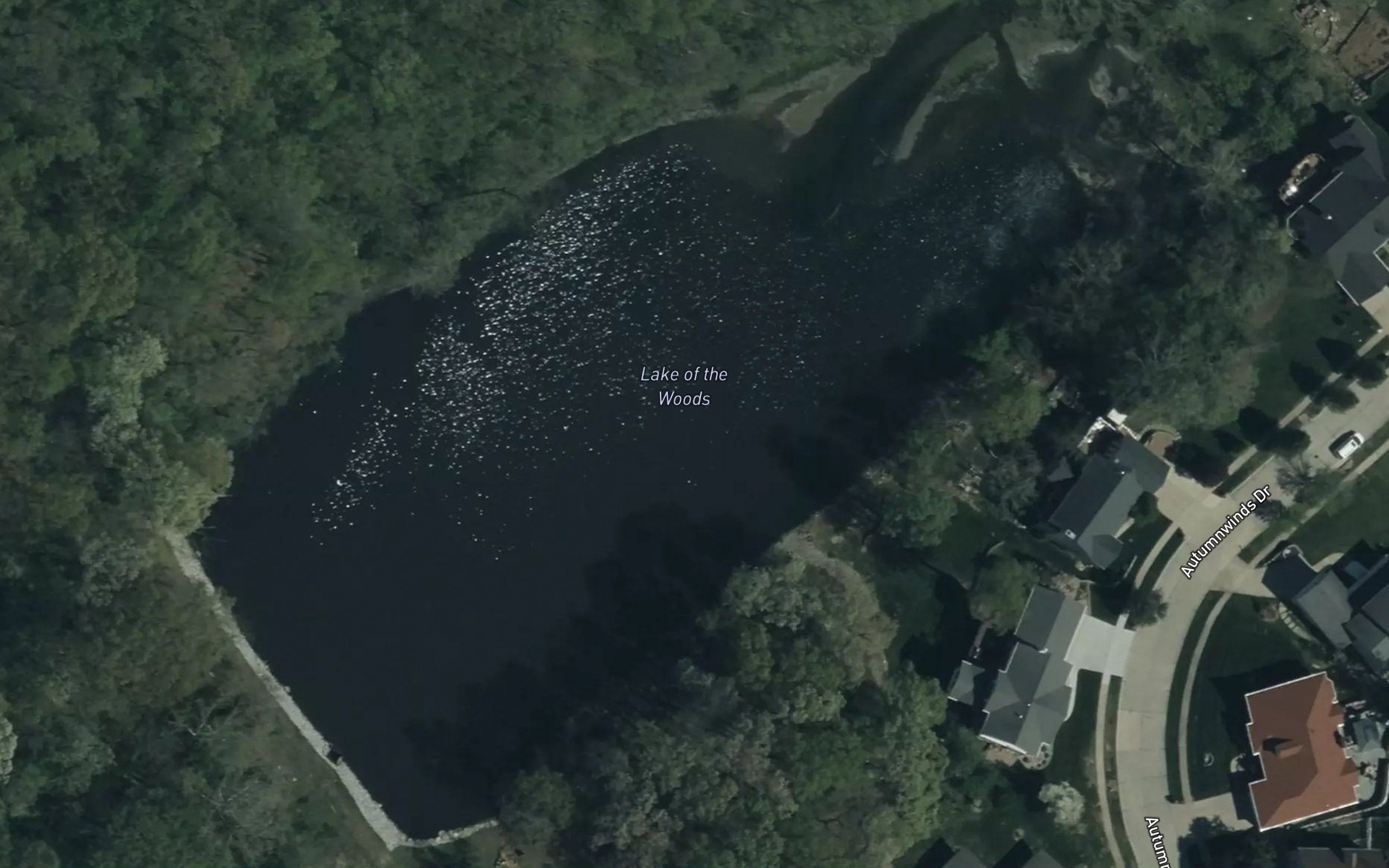 Lake of the Woods