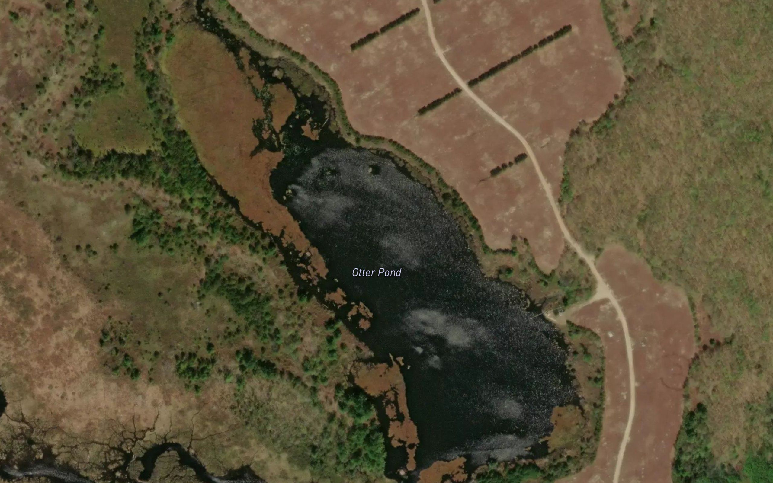Otter Pond