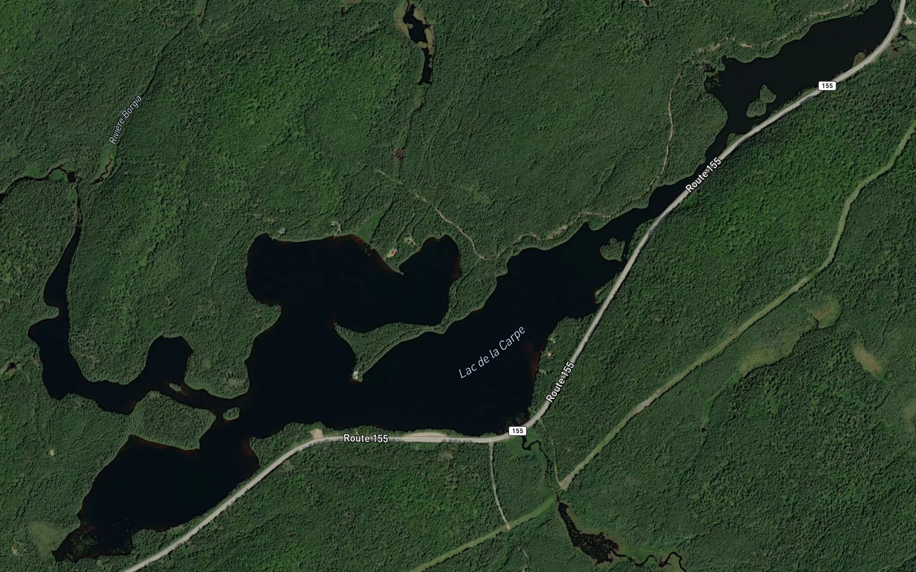 Satellite map of the Lac de la Carpe