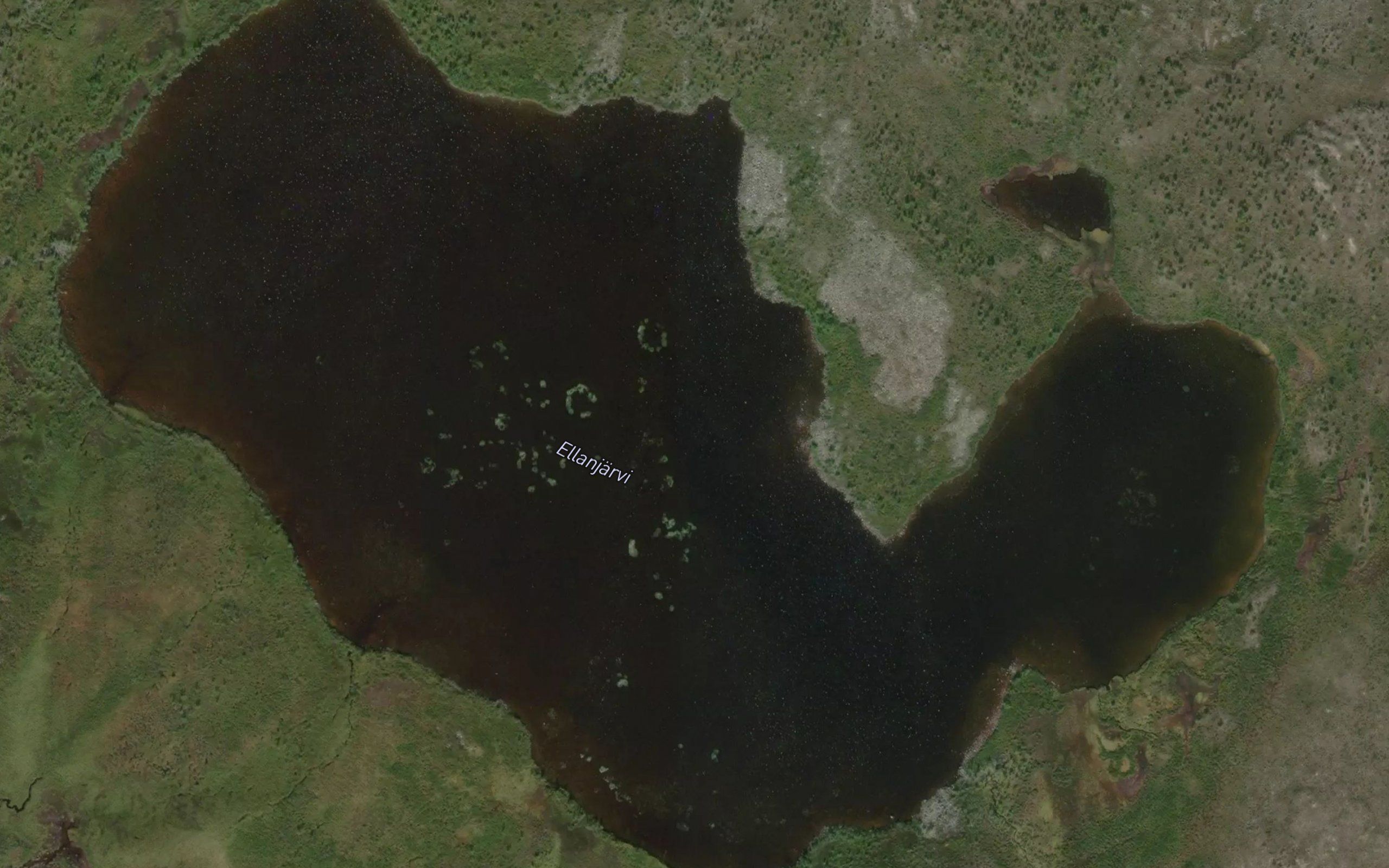 Ellanjarvi