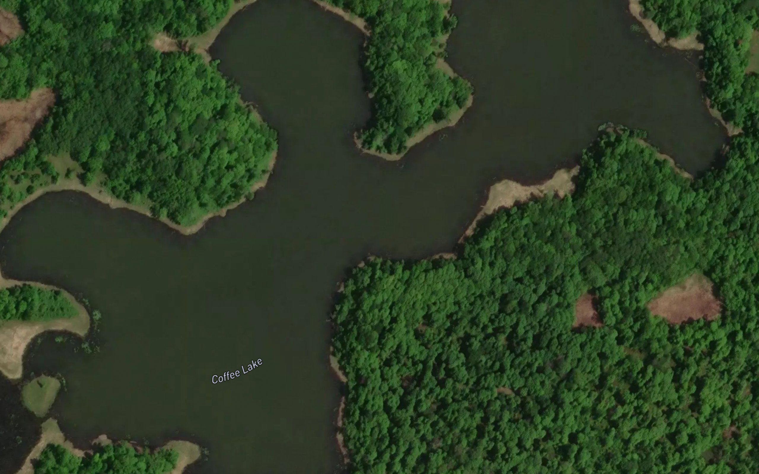 Coffee Lake