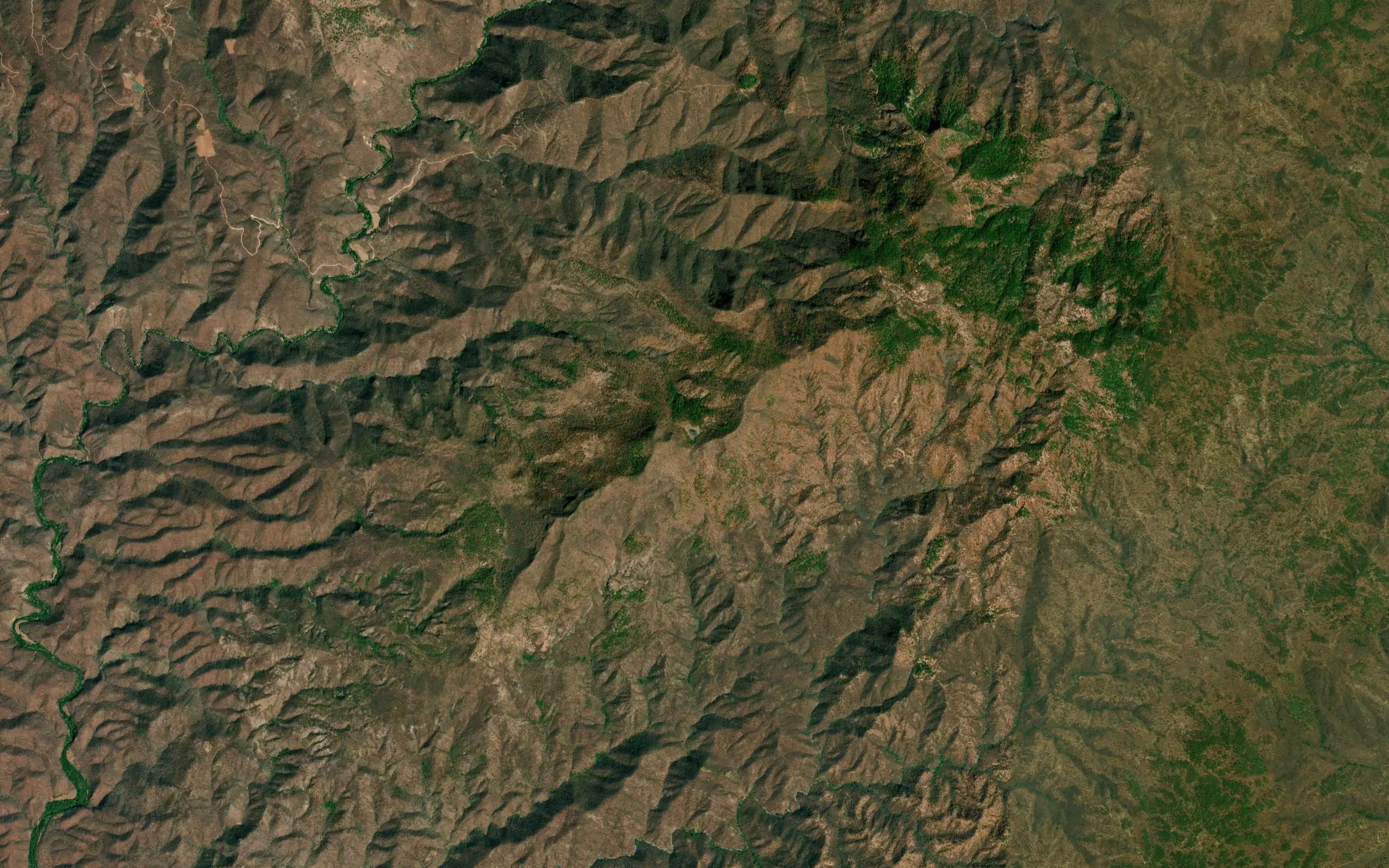 Laguna Carrizal