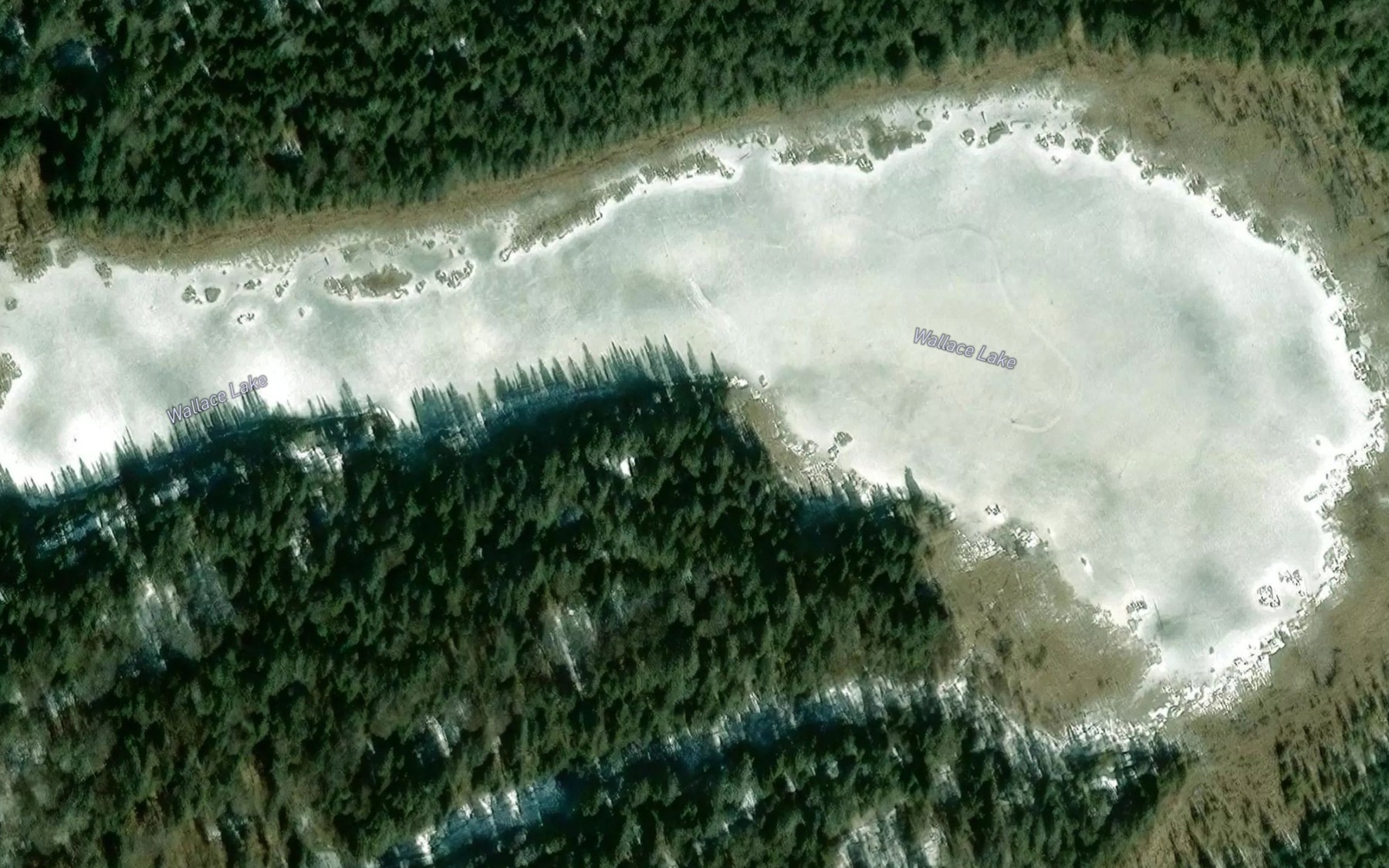 Satellite map of the Wallace Lake