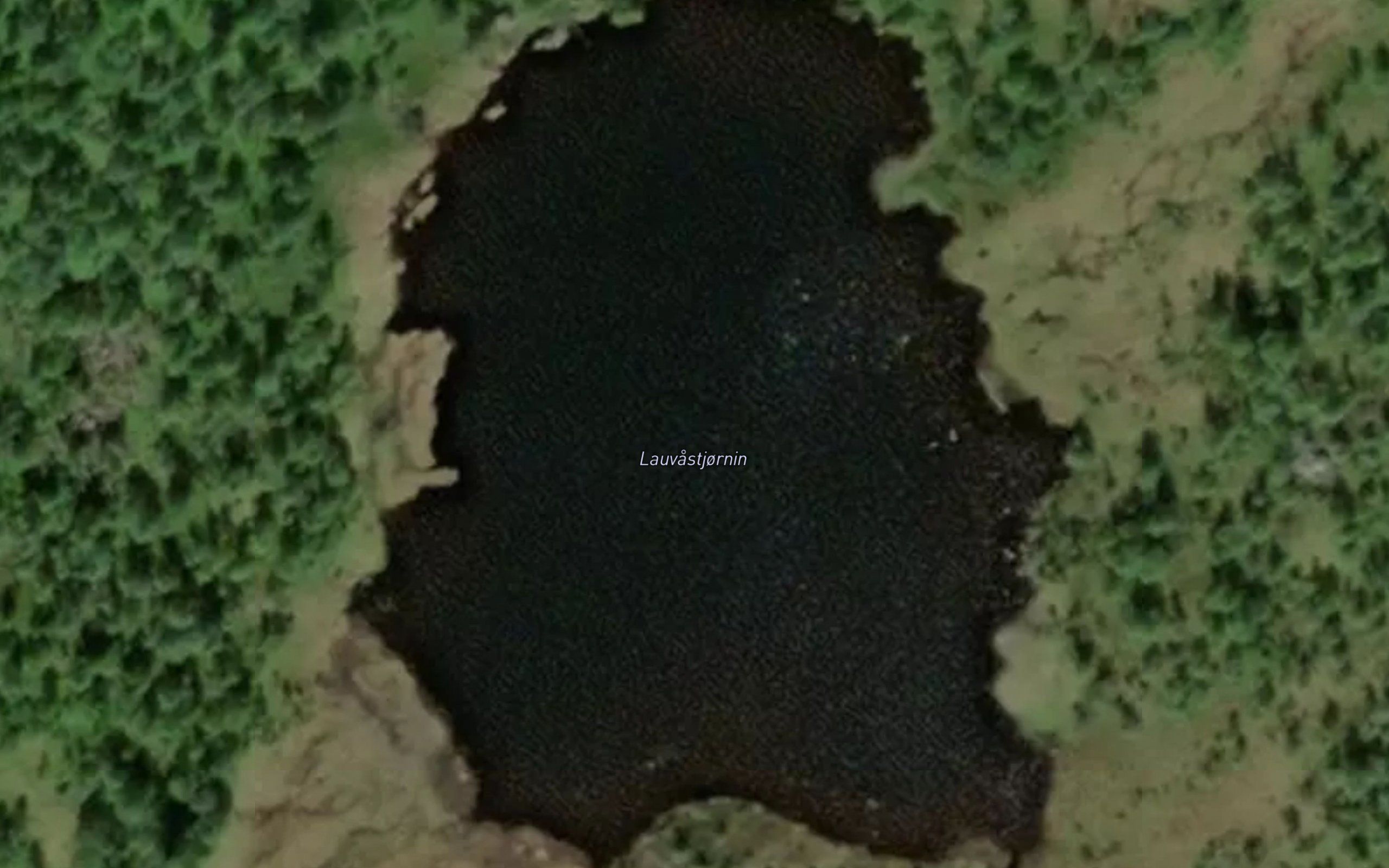 Lauvastjonni