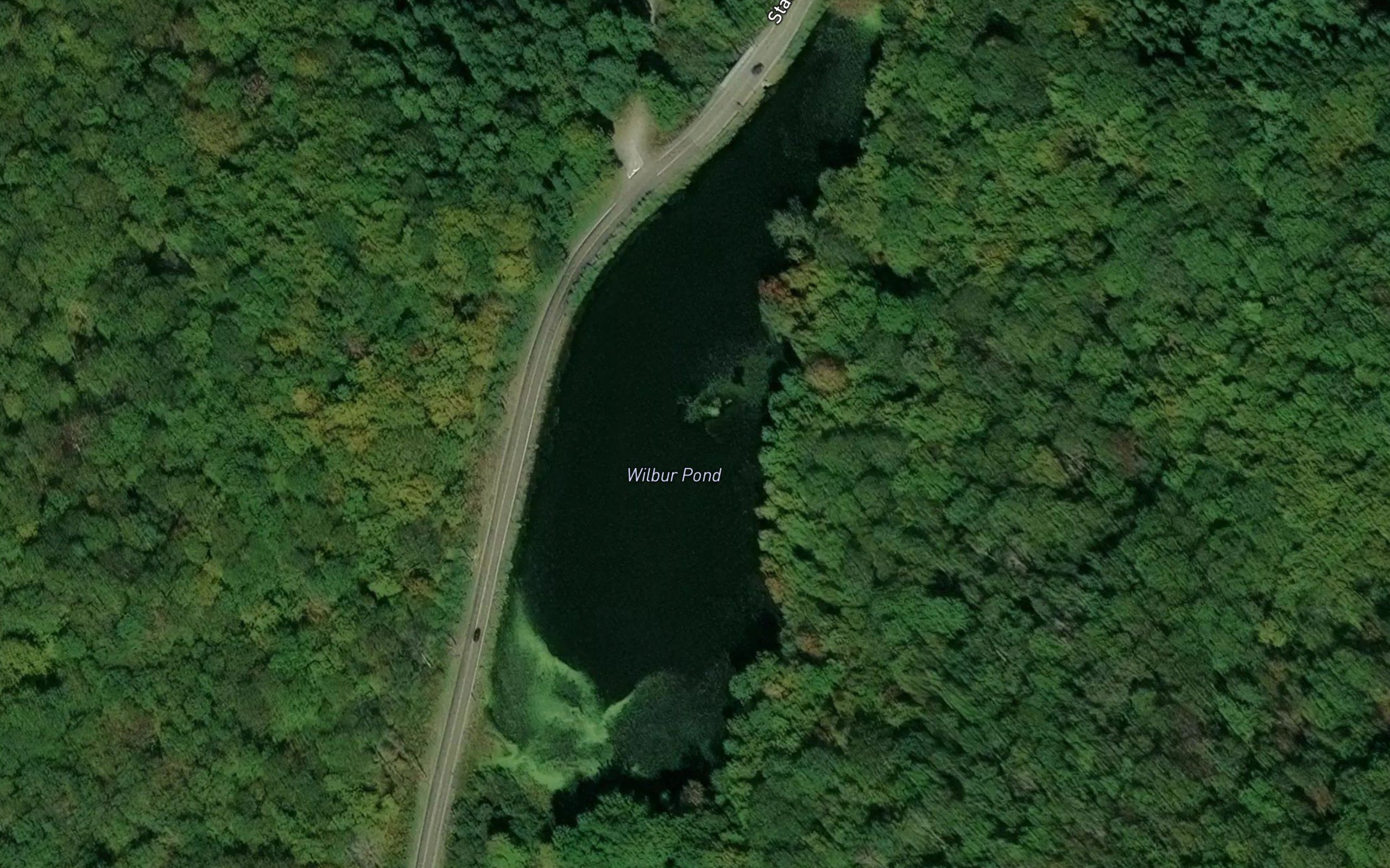 Wilbur Pond