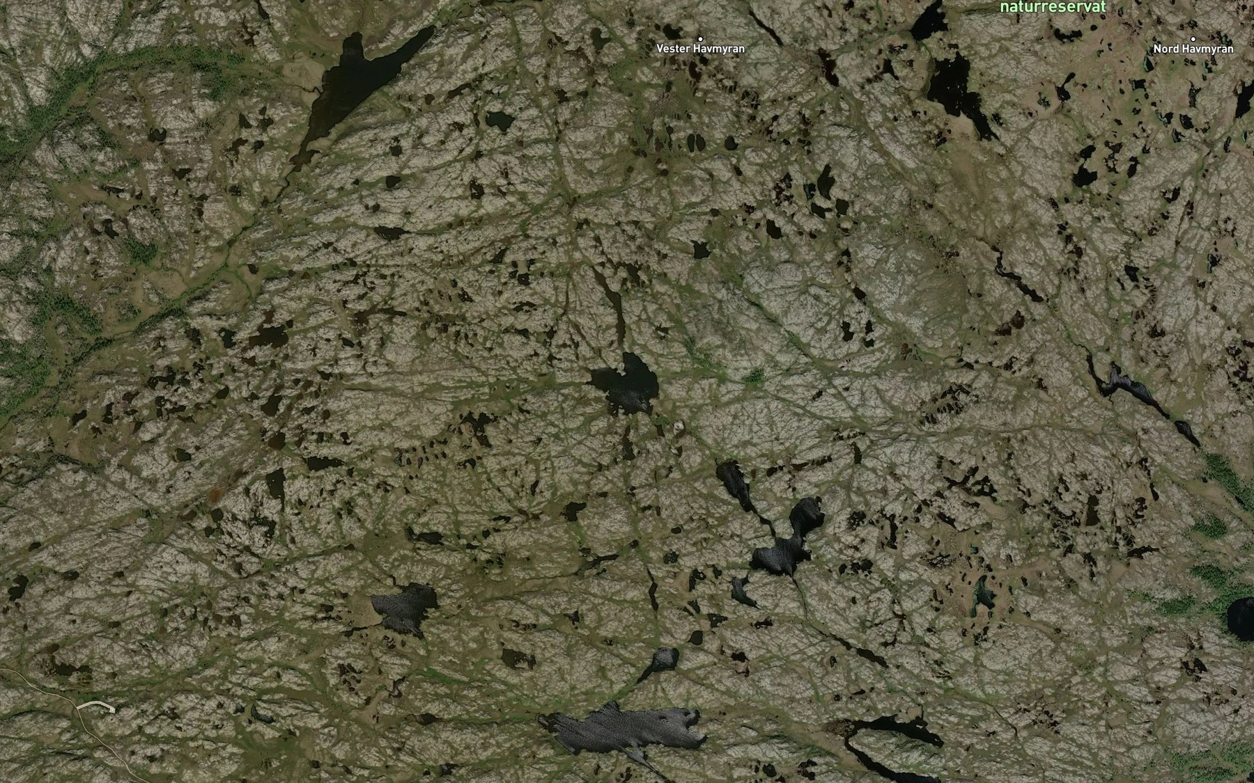 Satellite map of the Ytter Lebergvatnet
