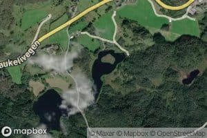 Steintjorna