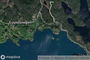 Midtvika
