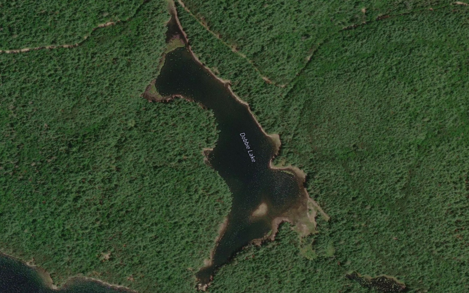 Satellite map of the Dobbie Lake