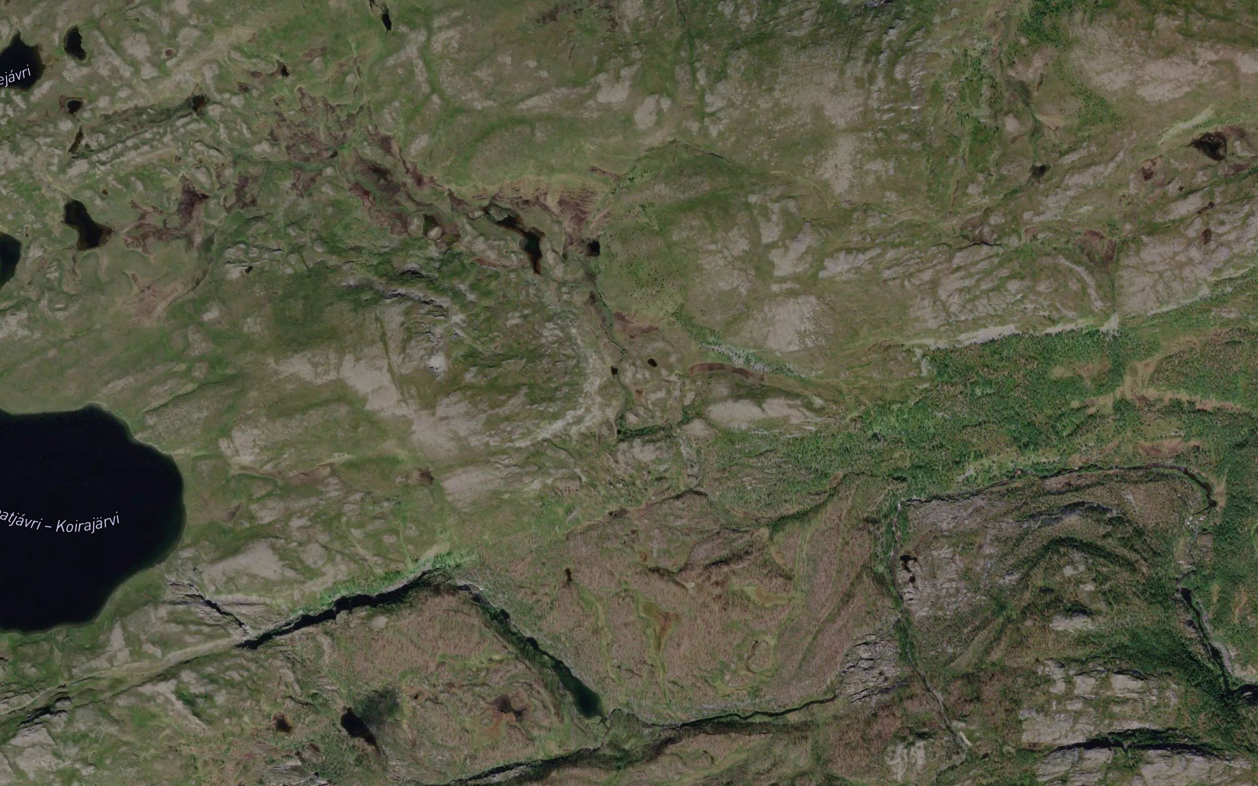 Gaskoaijakka