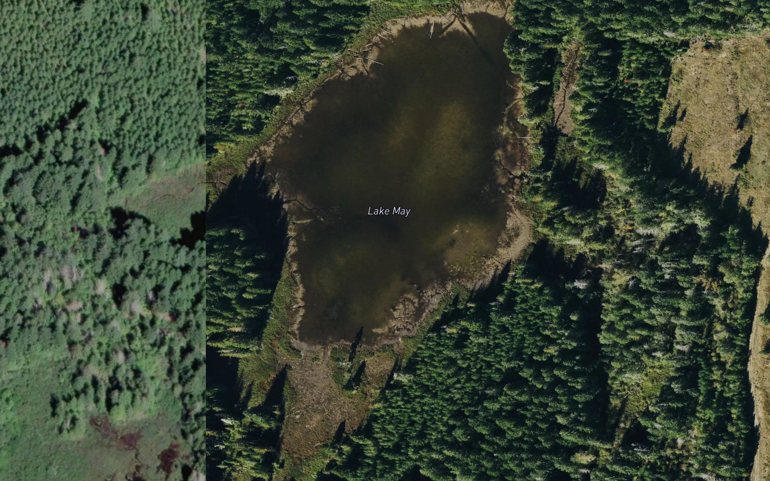 Lake May