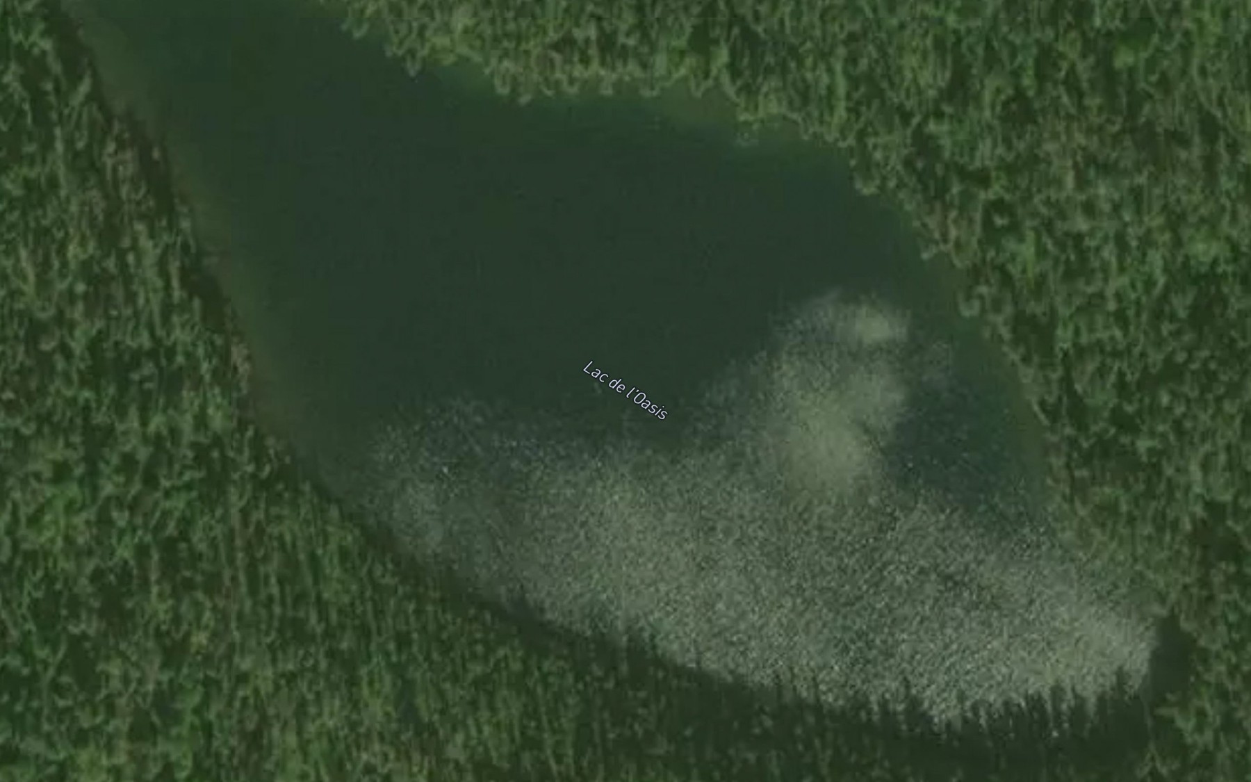 Satellite map of the Lac de l'Oasis