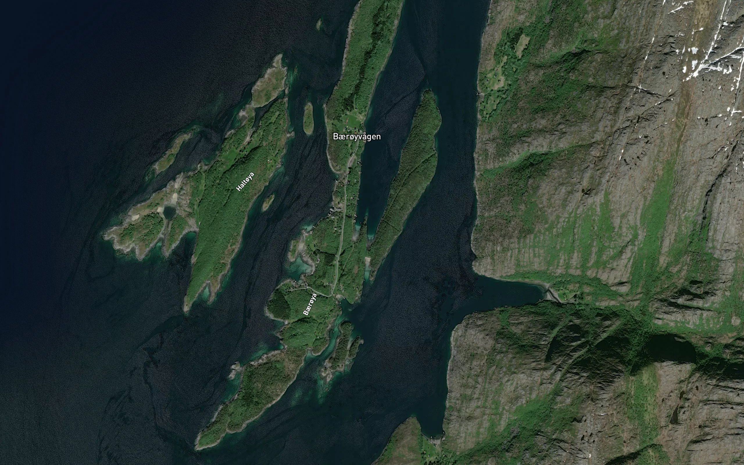 Farnesvalen
