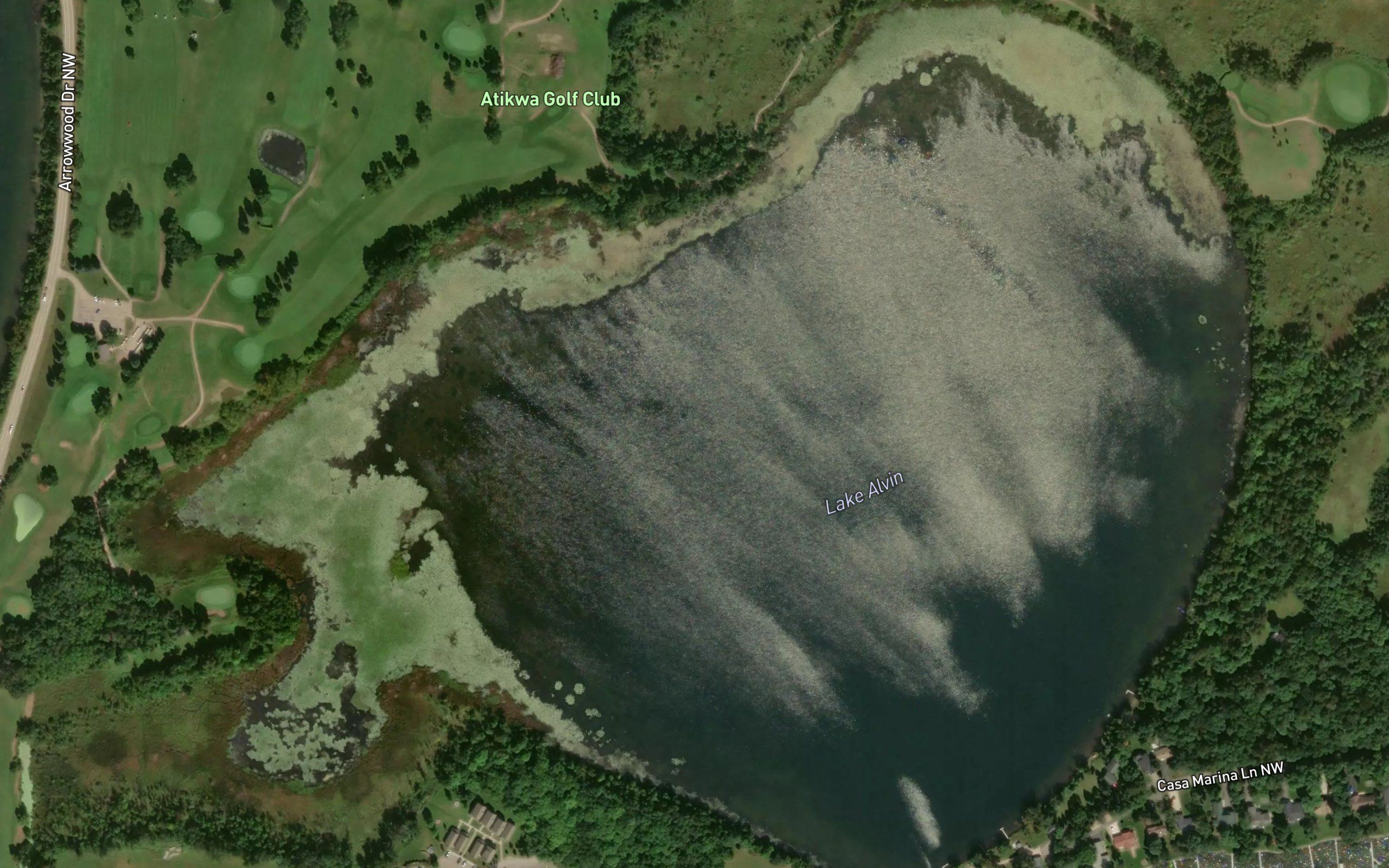 Lake Alvin