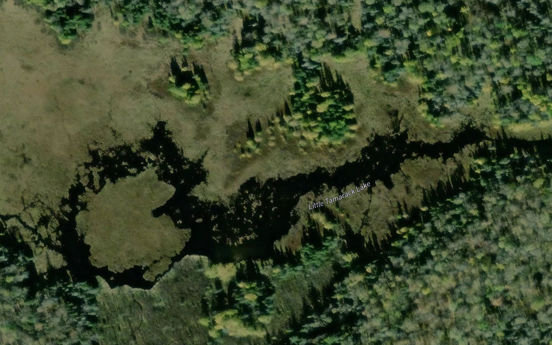 Satellite map of the Little Tamarack Lake