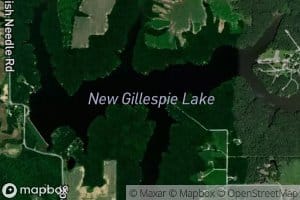 New Gillespie Lake