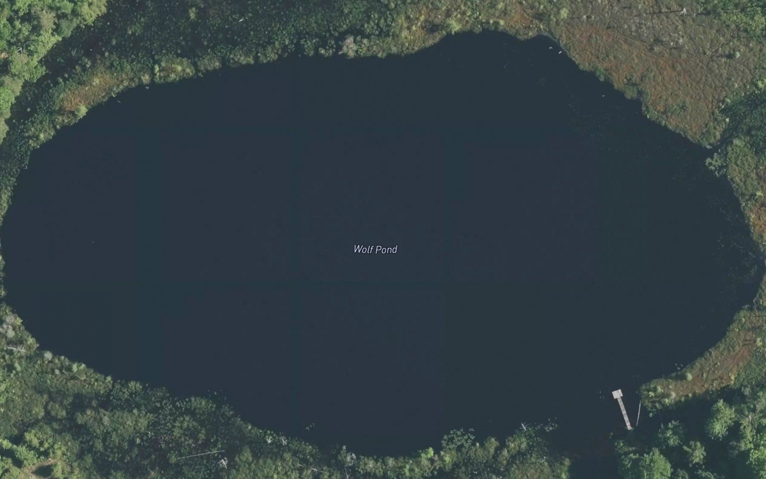 Wolf Pond